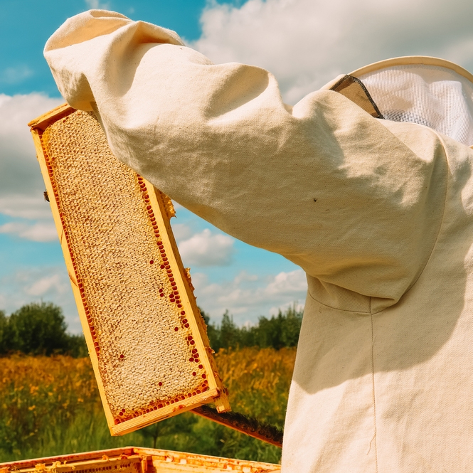 Honey Apiaries Improvement Program