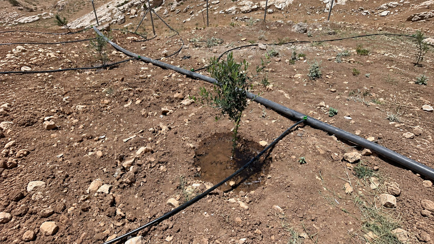 Orbit Global irrigation project