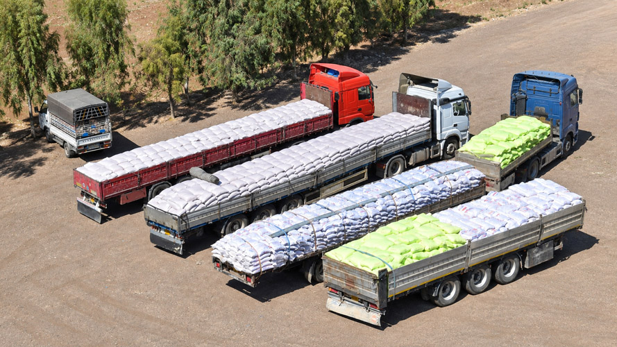 Orbit Global wheat project