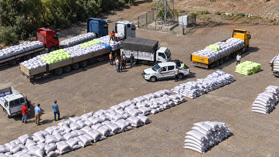 Orbit Global wheat project