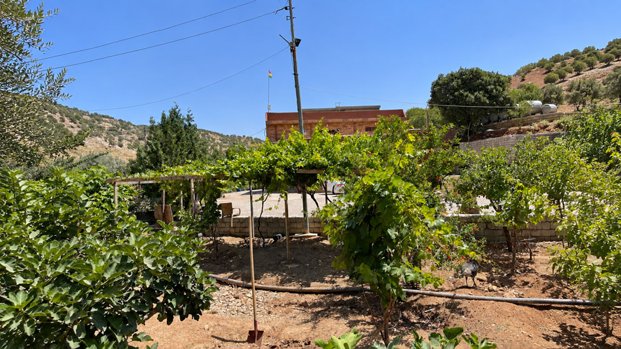 Orbit Global horticulture project