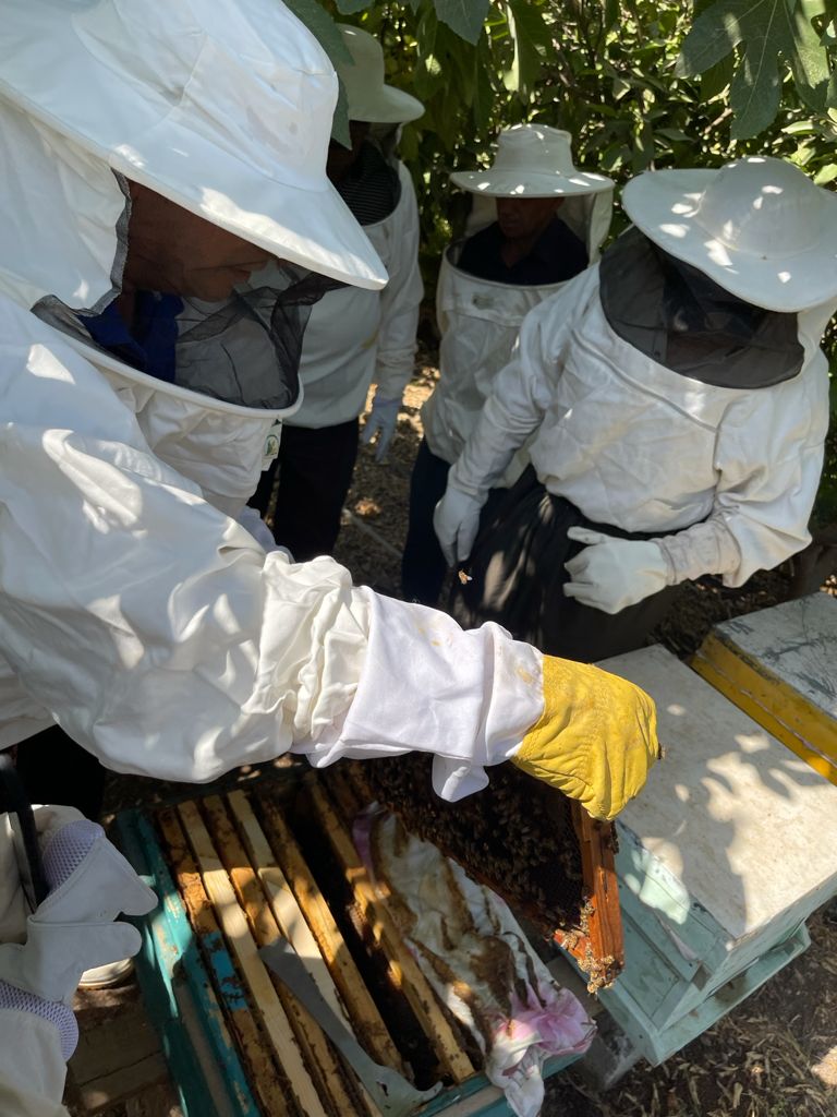 Honey Apiaries Improvement Program project image 2