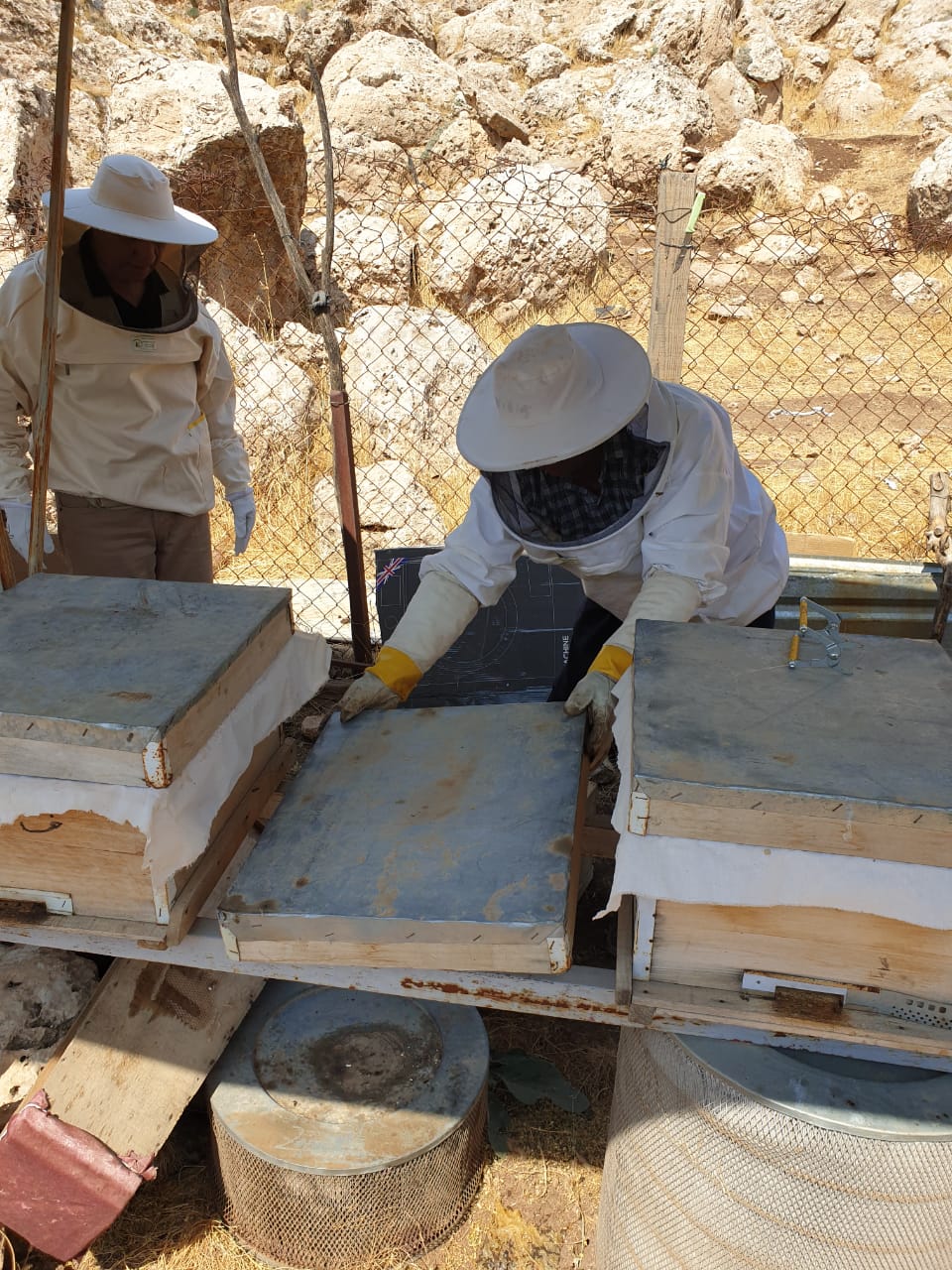 Honey Apiaries Improvement Program project image 3