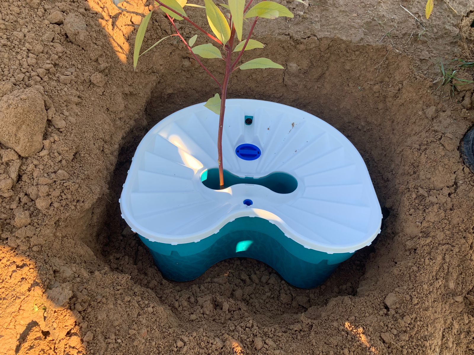 Water Box Projects