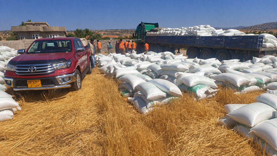 Wheat Improvement Program - Image 5