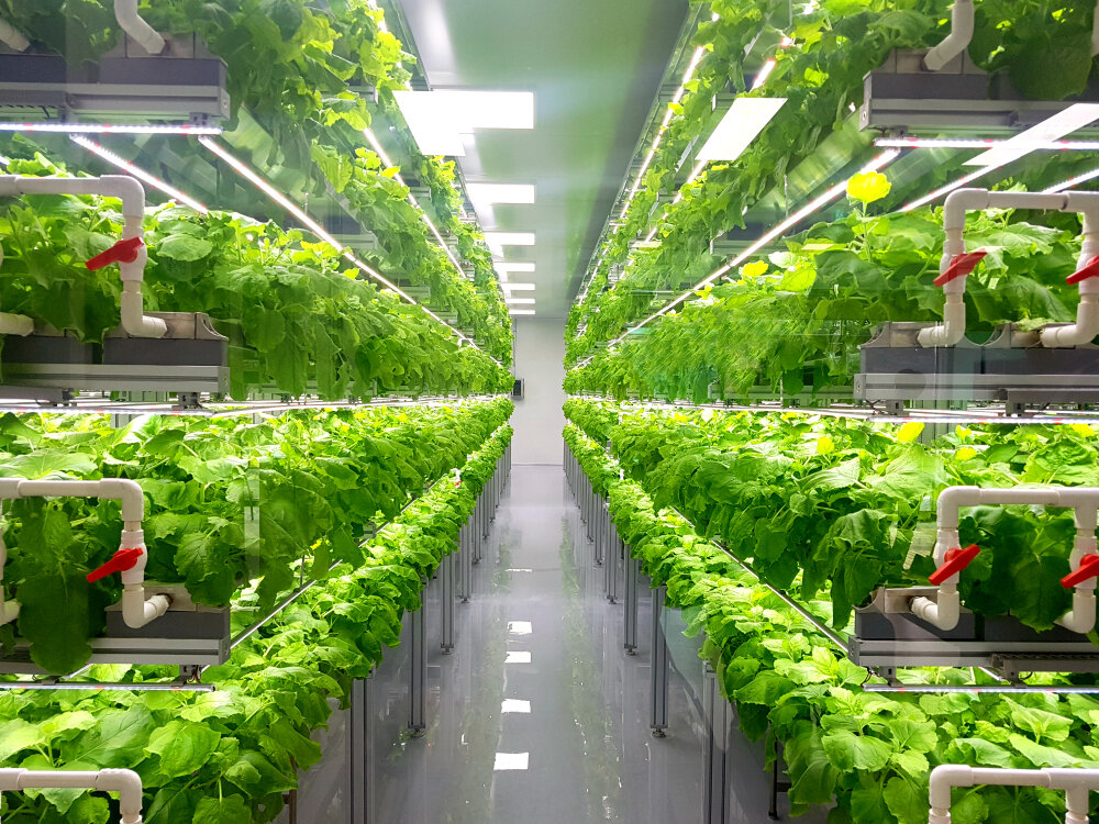 Agricultural Technology Projects